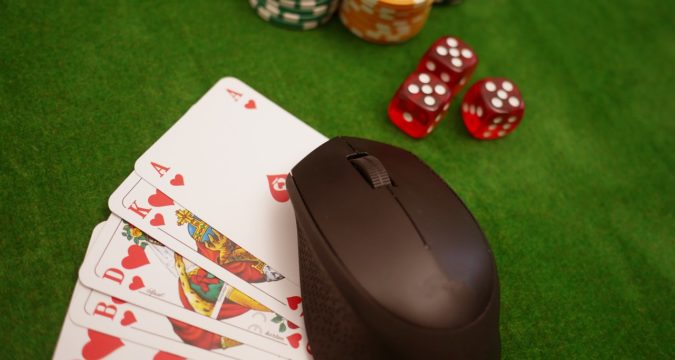 mouse